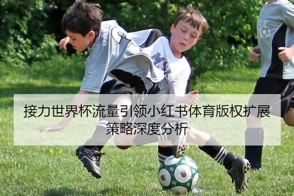 接力世界杯流量引领小红书体育版权扩展策略深度分析