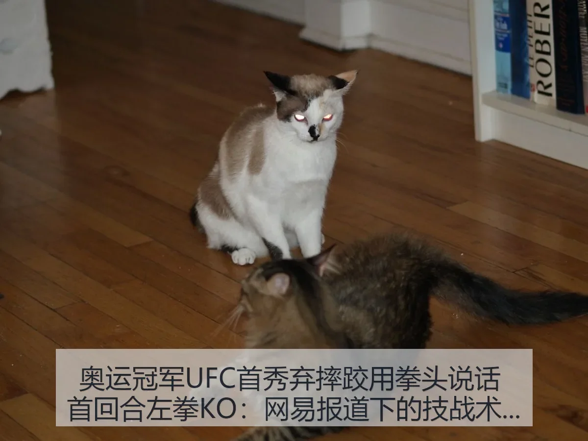 奥运冠军UFC首秀弃摔跤用拳头说话 首回合左拳KO:下的技战术观察